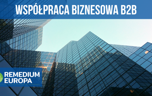 B2B with Remedium Europa EN